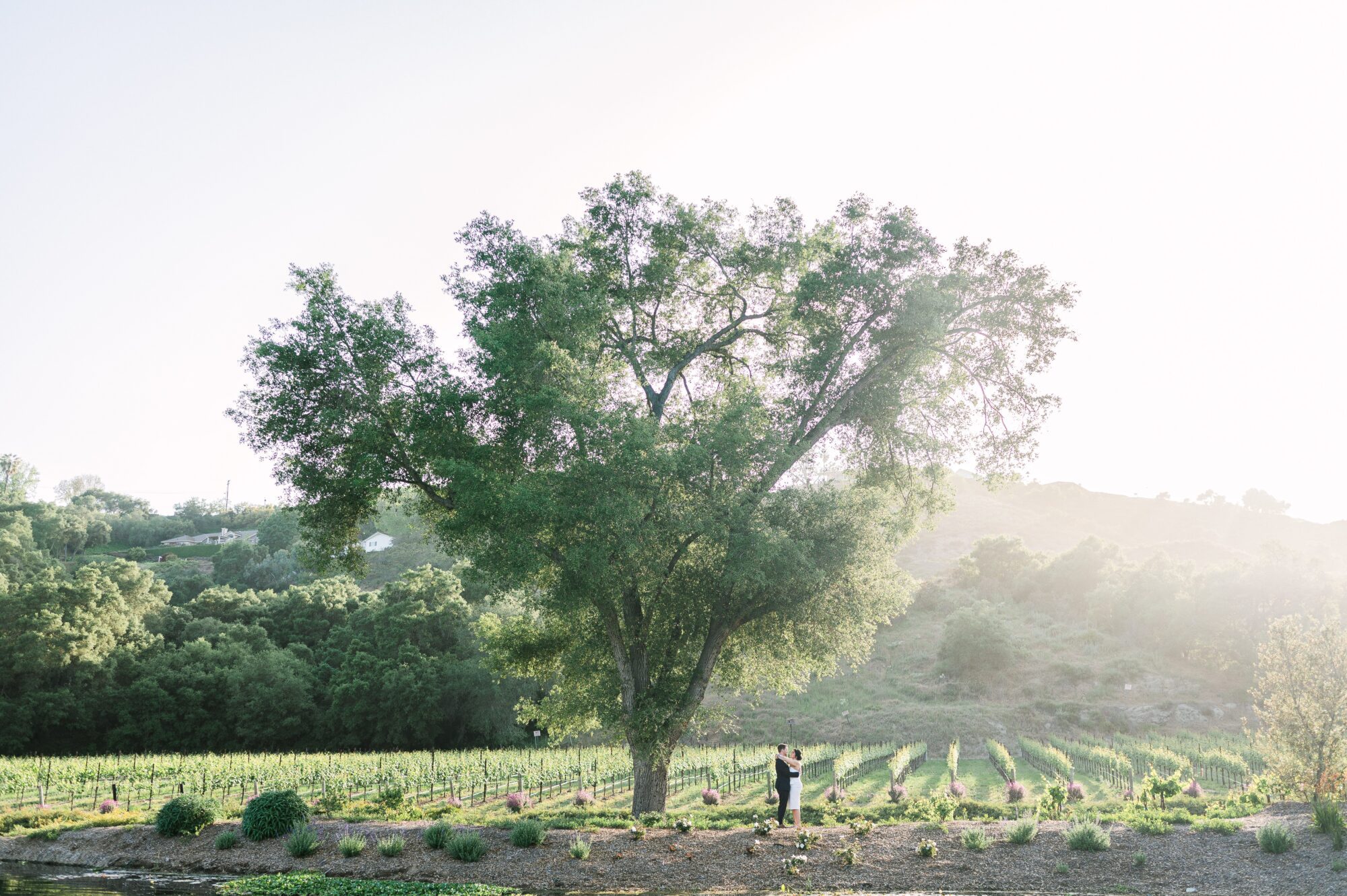 Hidden away in the hills of Fallbrook, California, Monserate Winery is a Tuscan-inspired winery - one of most the ideal Southern California Wedding Venues!